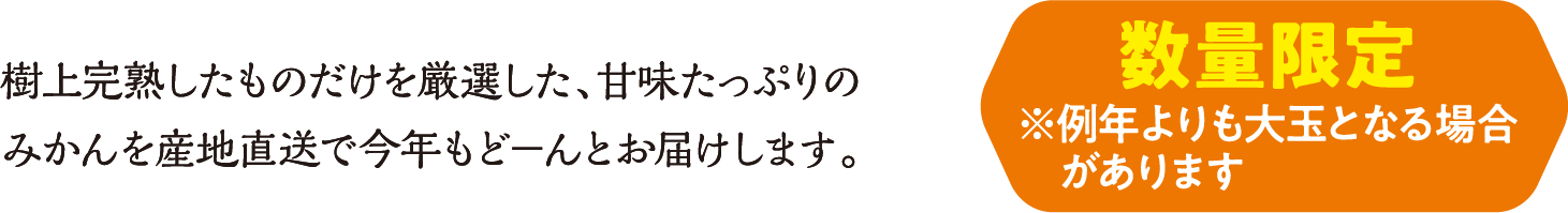 崰ϤΤ̣äפΤߤľǺǯɡݤȤϤޤ̸ꢨǯ̤Ȥʤ礬ޤ