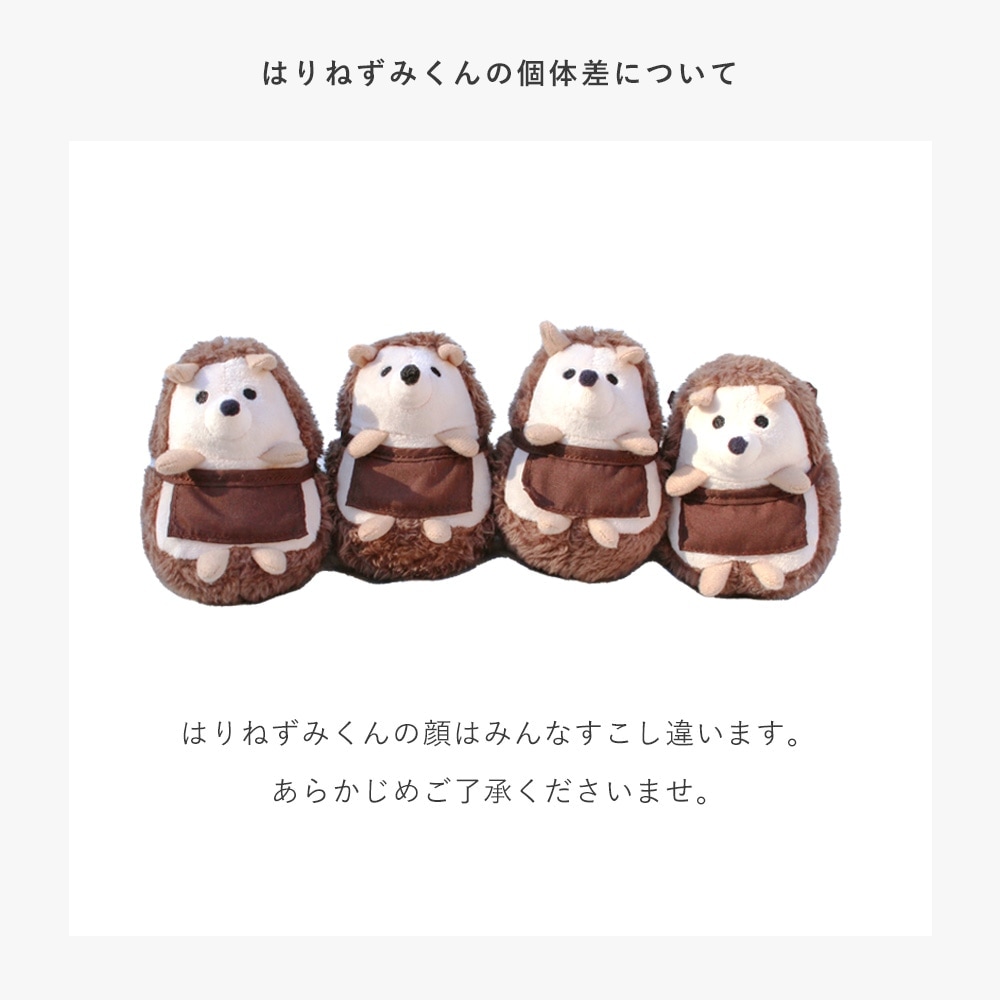 えほんでごっこあそび はりねずみくんとカップケーキ