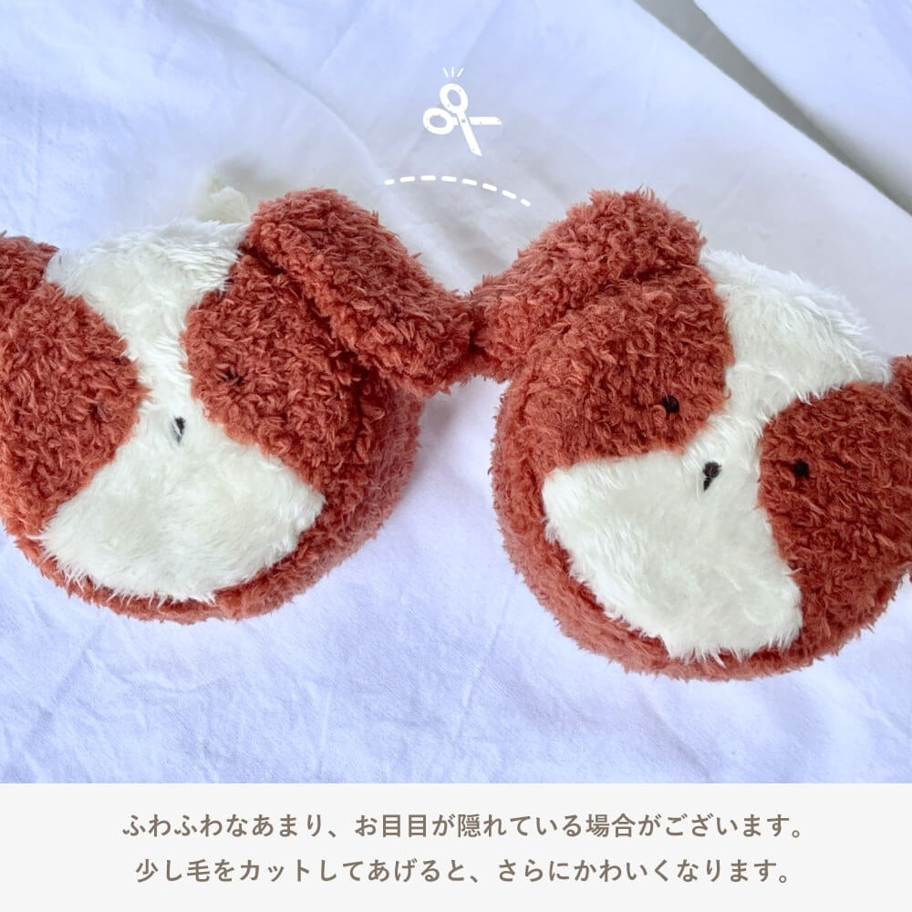 森の新しいおともだち