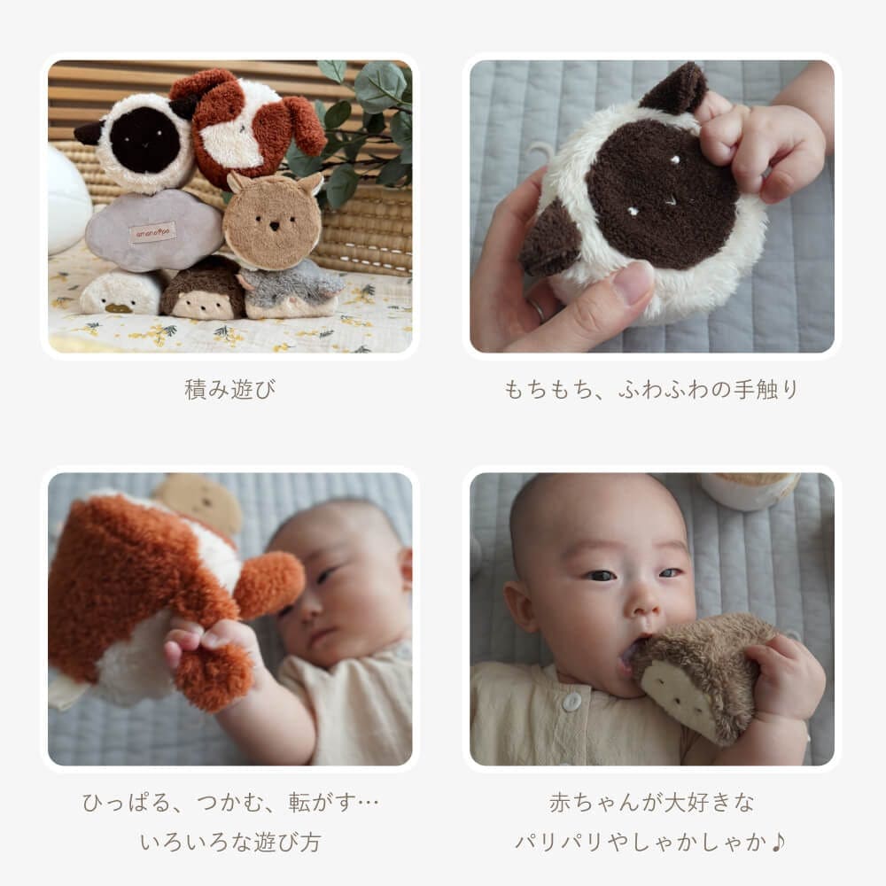 森の新しいおともだち