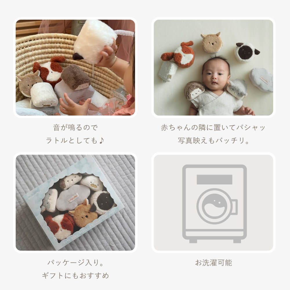森の新しいおともだち
