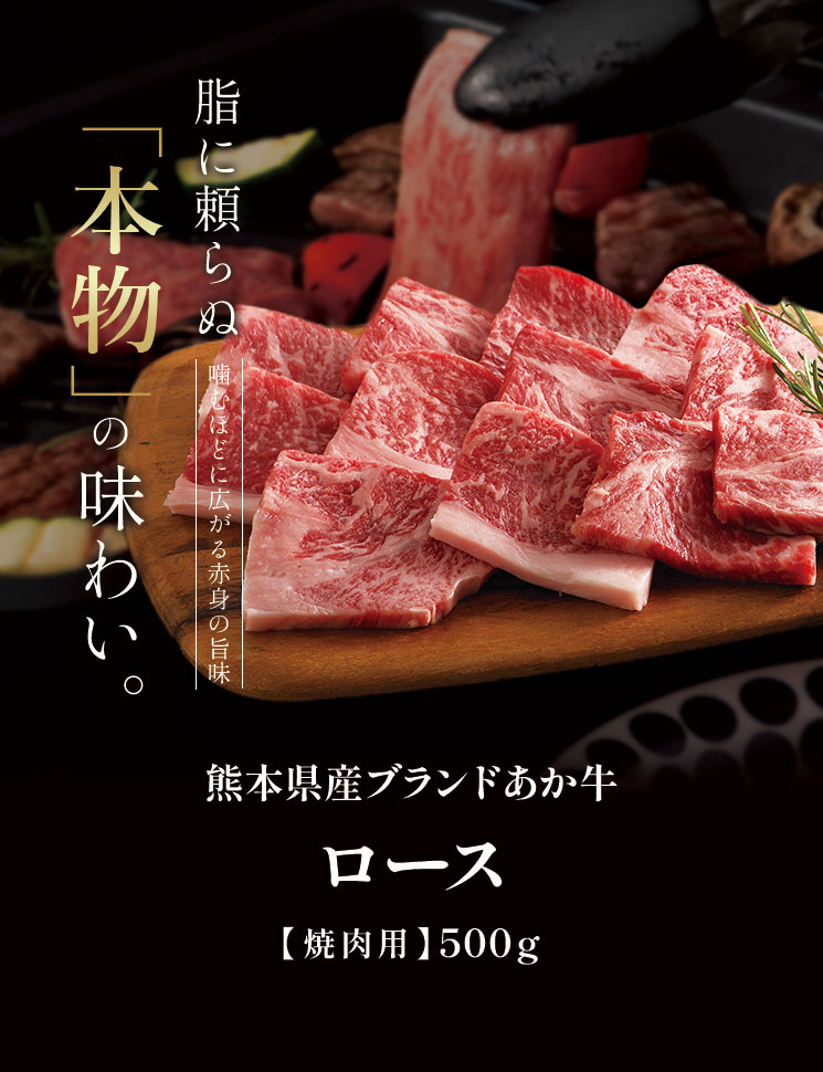 ���������������󥹥ơ���