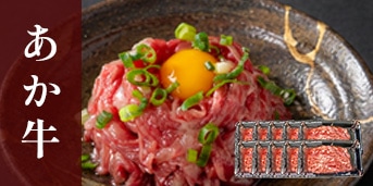 ���ܸ����֥��ɵ��ڤ�������å���