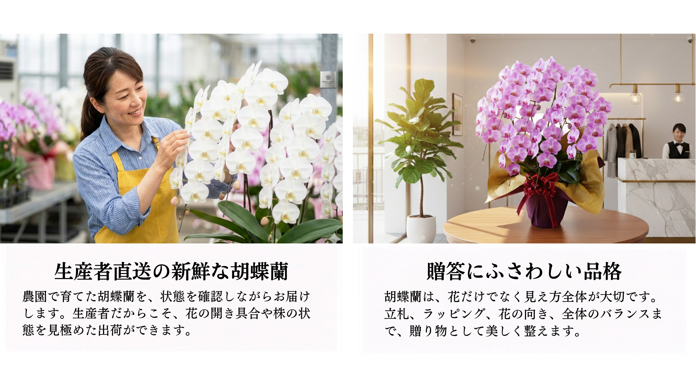 品格
