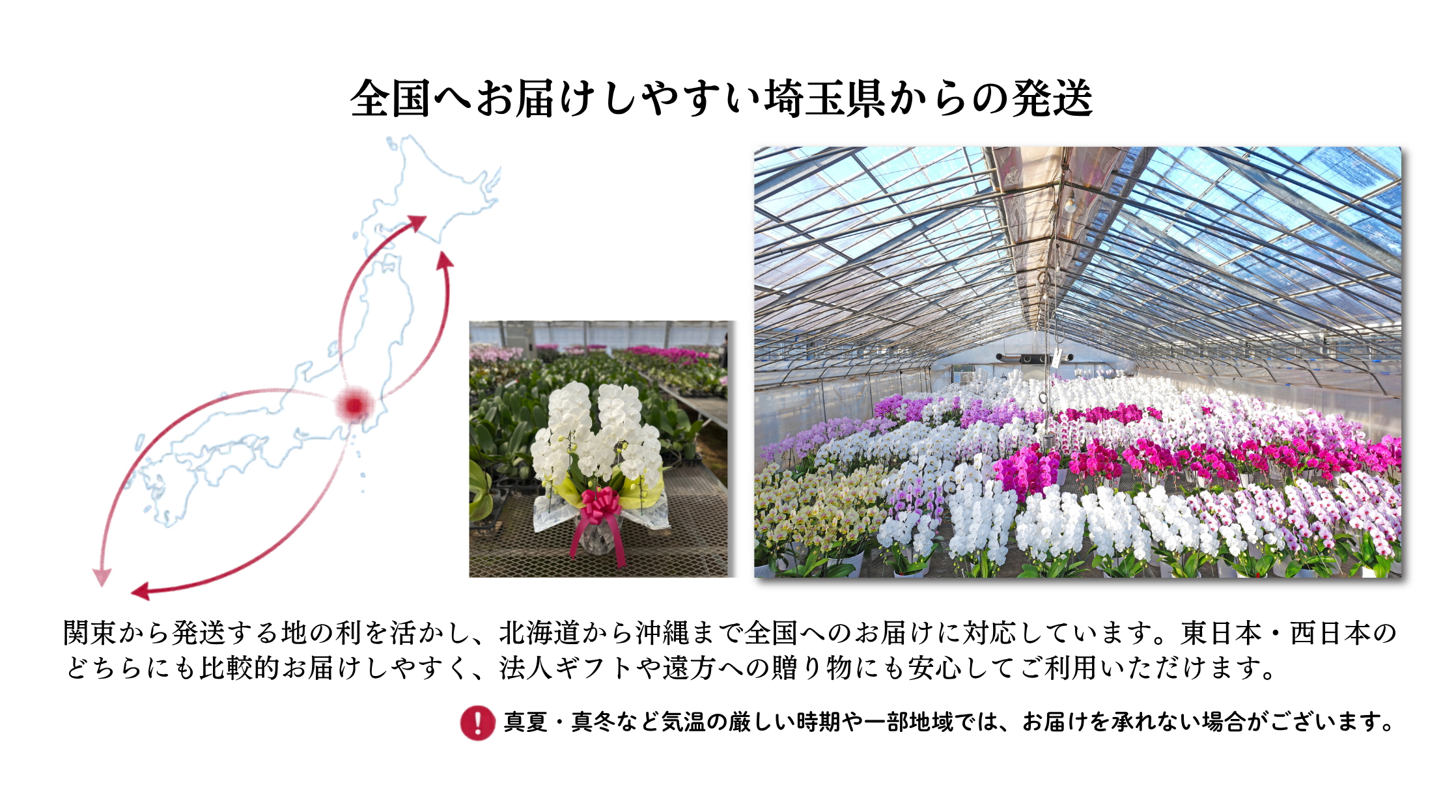 地の利