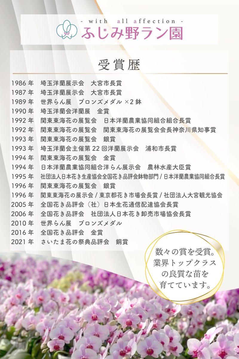 受賞歴