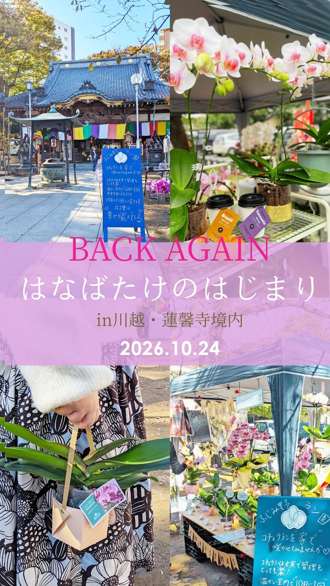 はなばたけのはじまり 2026 ふじみ野ラン園
