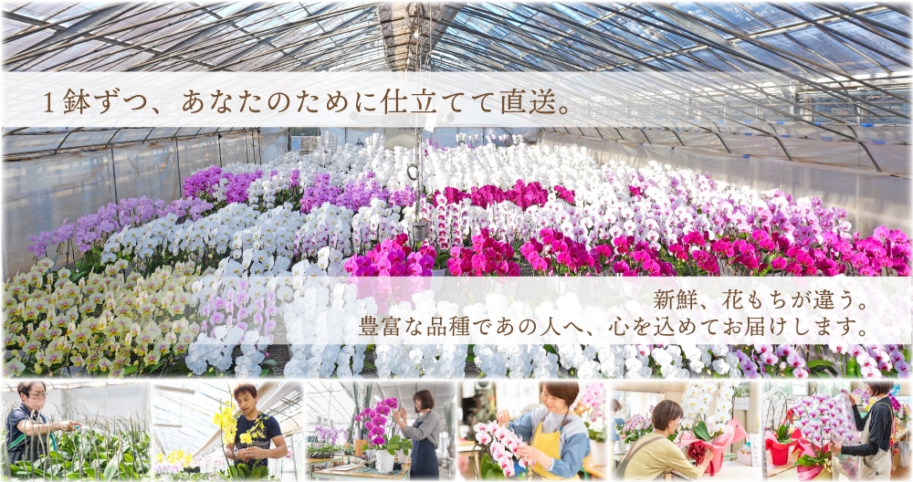 農園スタッフ