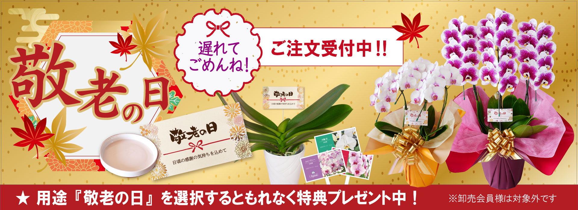 終了】『敬老の日』に心華やぐ特別なGIFTを！