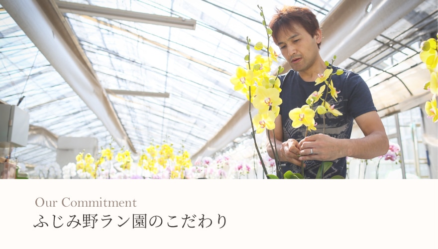 ふじみ野ラン園のこだわり