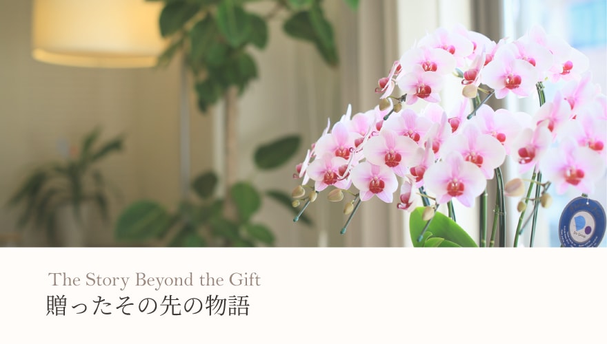 贈ったその先の物語