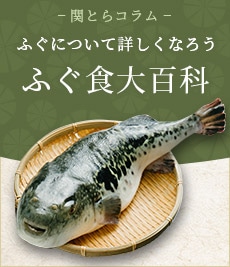 �դ�����ɴ��