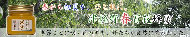 �ŷ����ɴ��˪̪
