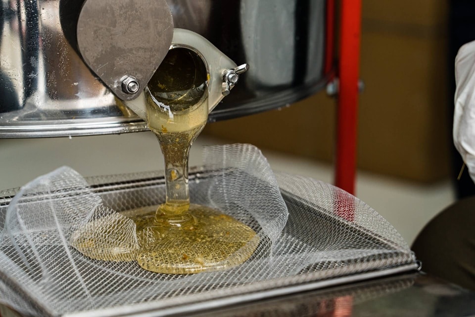 ���Ǯ�Ϥ��ߤĤ����˭������ͳ