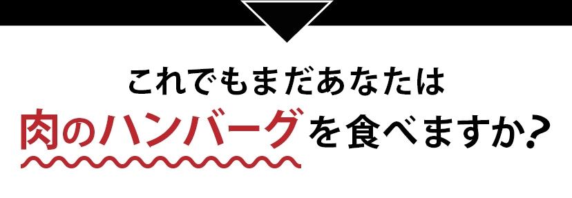 これでもまだあなたは肉のハンバーグを食べますか？