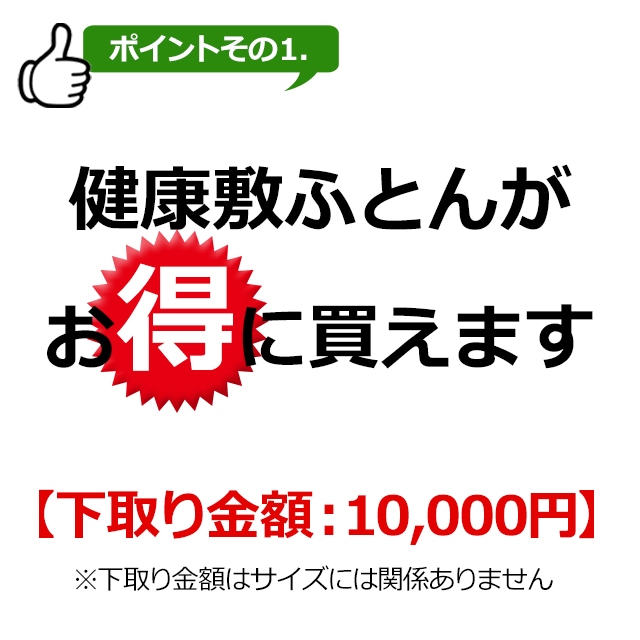 家庭用温熱・電位治療器】健康敷ふとん