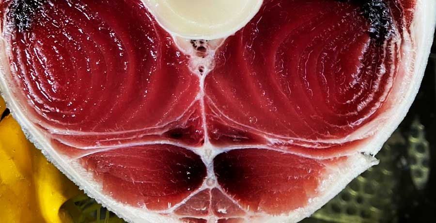 マグロの高鮮度の証（ちぢみ）