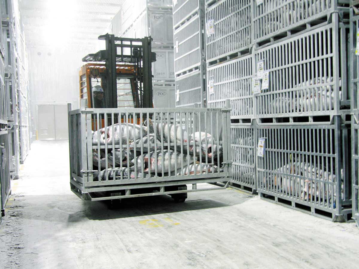 福一漁業の工場と超低温冷凍庫の様子