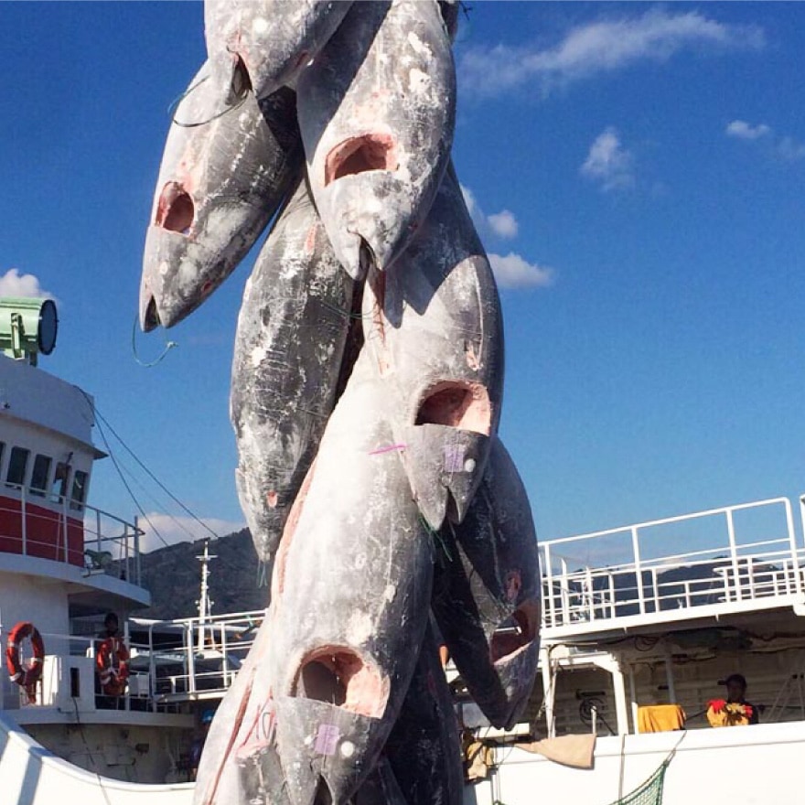 特徴：イメージ