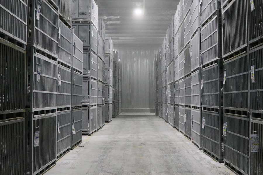 -60度で管理された冷凍庫