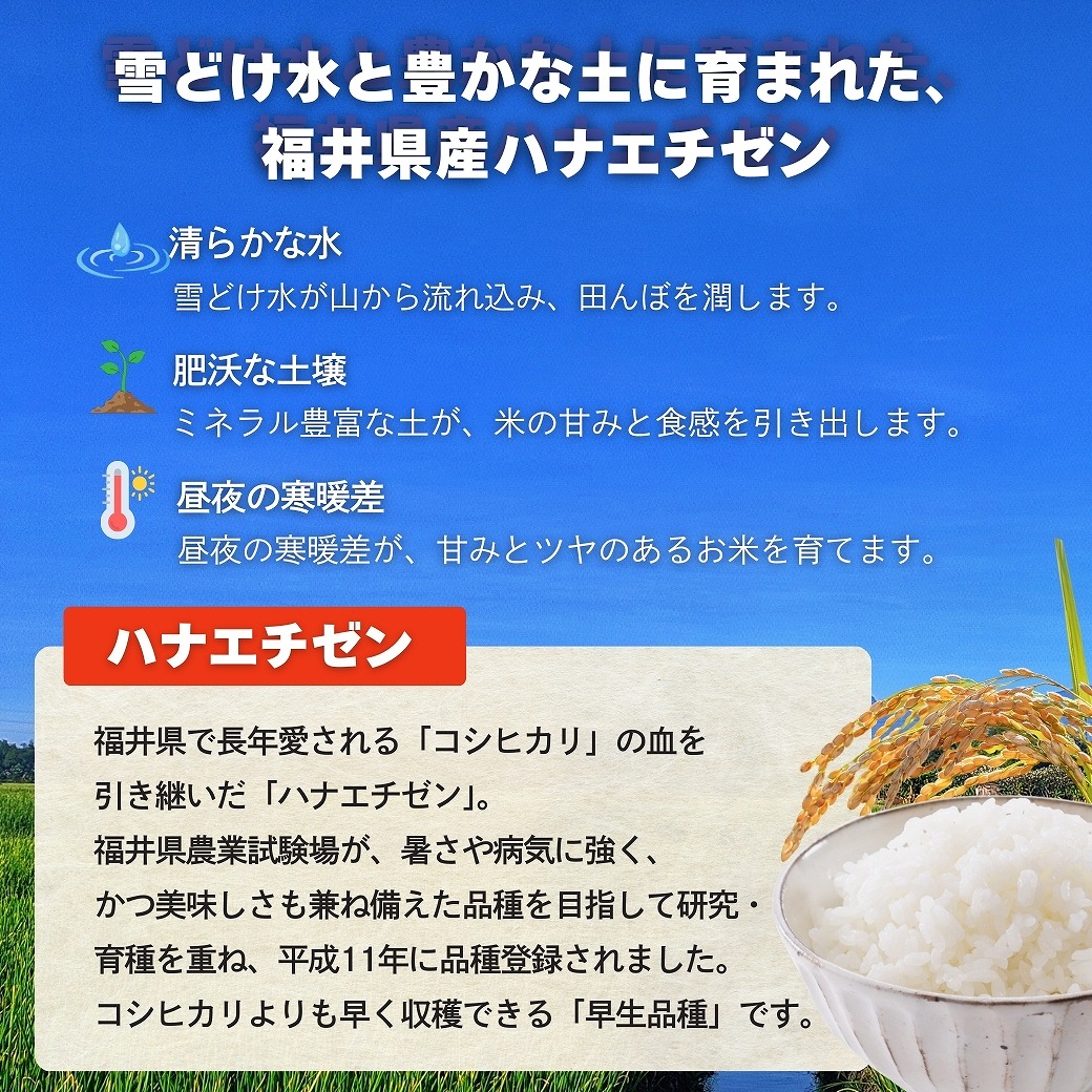 ��ɤ����˭�����ڤ˰�ޤ줿��ʡ�温���ϥʥ�������