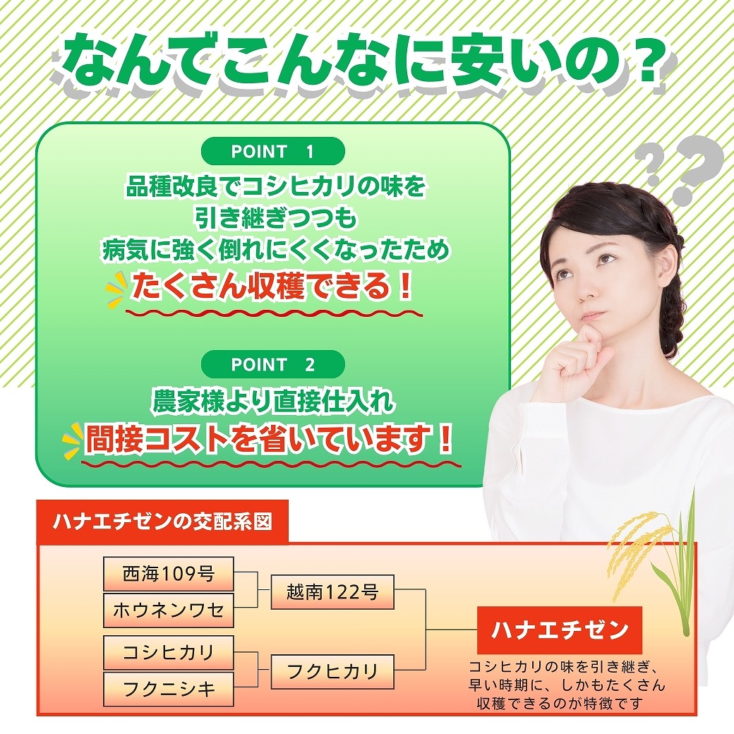 �ʤ�Ǥ���ʤ˰¤��Ρ�