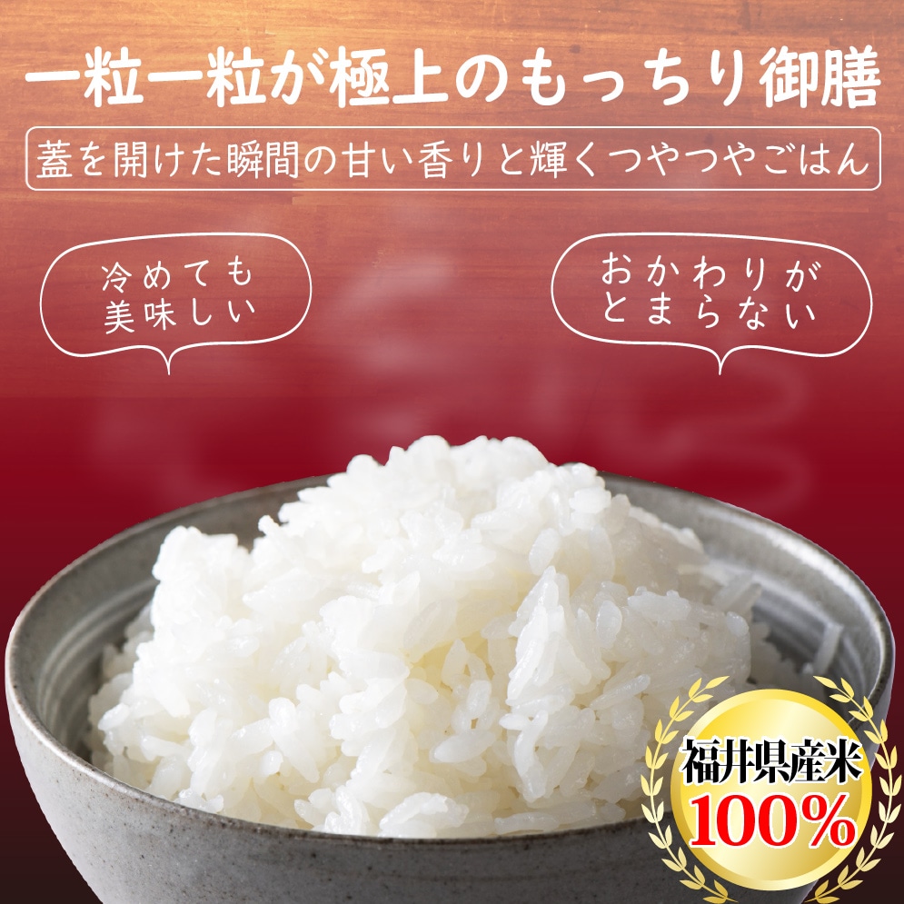 ミルキークイーン 白米 10kg(5kg×2) 福井県産 令和5年産｜福井ミルキー