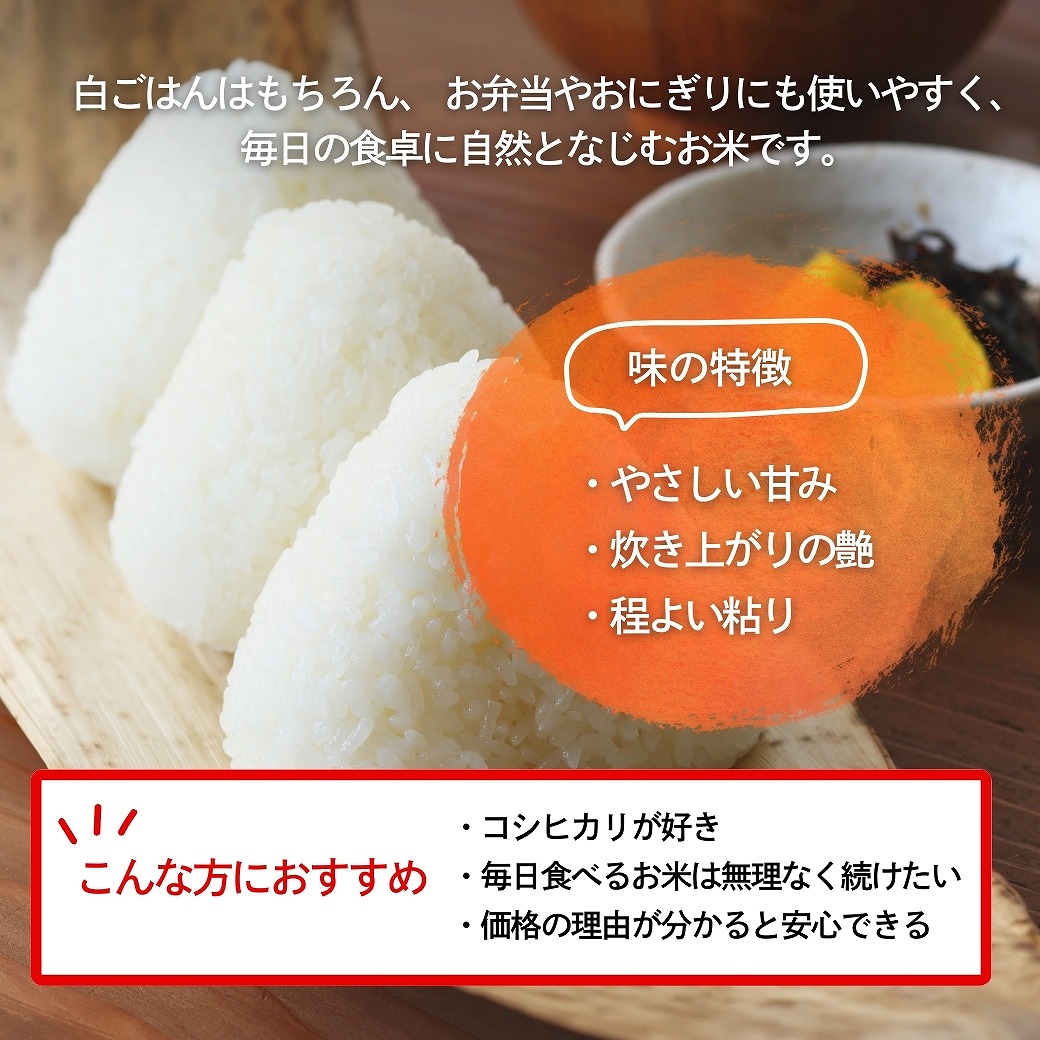故郷コシヒカリ 白米 10kg 国内産 令和7年産｜故郷コシヒカリ |｜最短