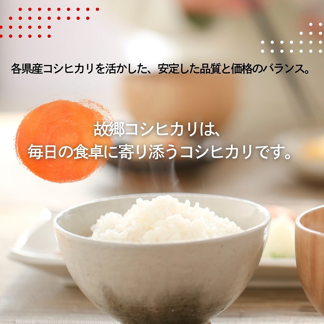 故郷コシヒカリ 白米 10kg 国内産 令和7年産｜故郷コシヒカリ |｜最短