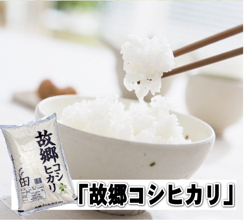 新米　故郷コシヒカリ 白米 20kg(10kg×2) 国内産 令和5年産-お米通販の「福井の米屋」