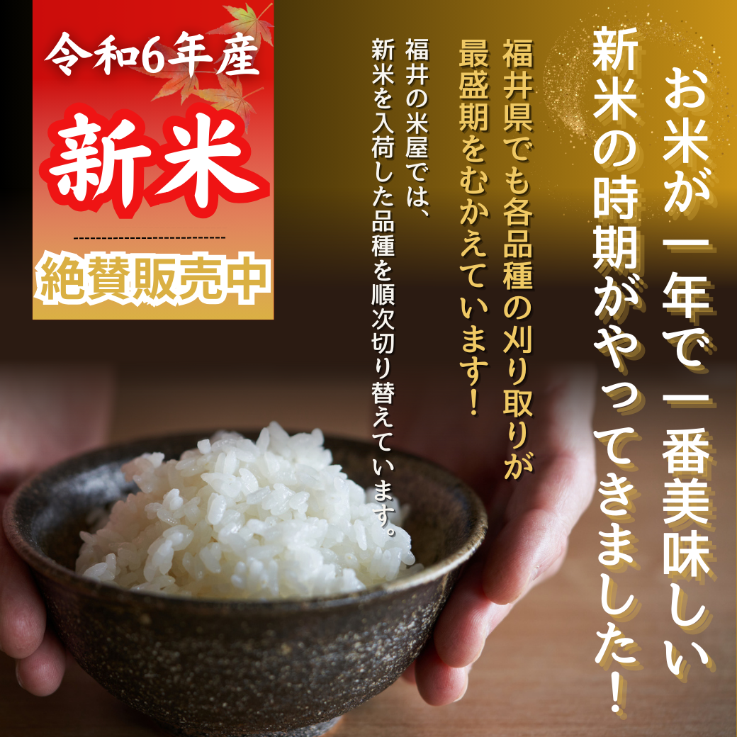 令和6年産 新米コシヒカリ 15kg 愛媛県産 減農 注文受付後に精米