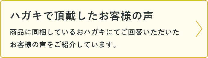 ハナエチゼン 白米 10kg(5kg×2) 福井県産 令和5年産｜ハナエチゼン