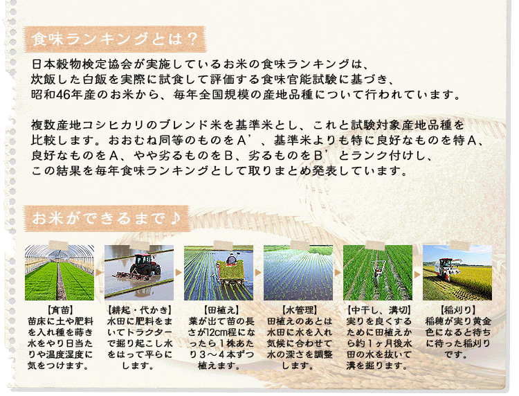 つや姫 白米 5kg 宮城県産 つや姫 全国送料無料 お米通販の 福井の米屋 は福井県産米を中心に安全安心の国産米を低価格でお届けします