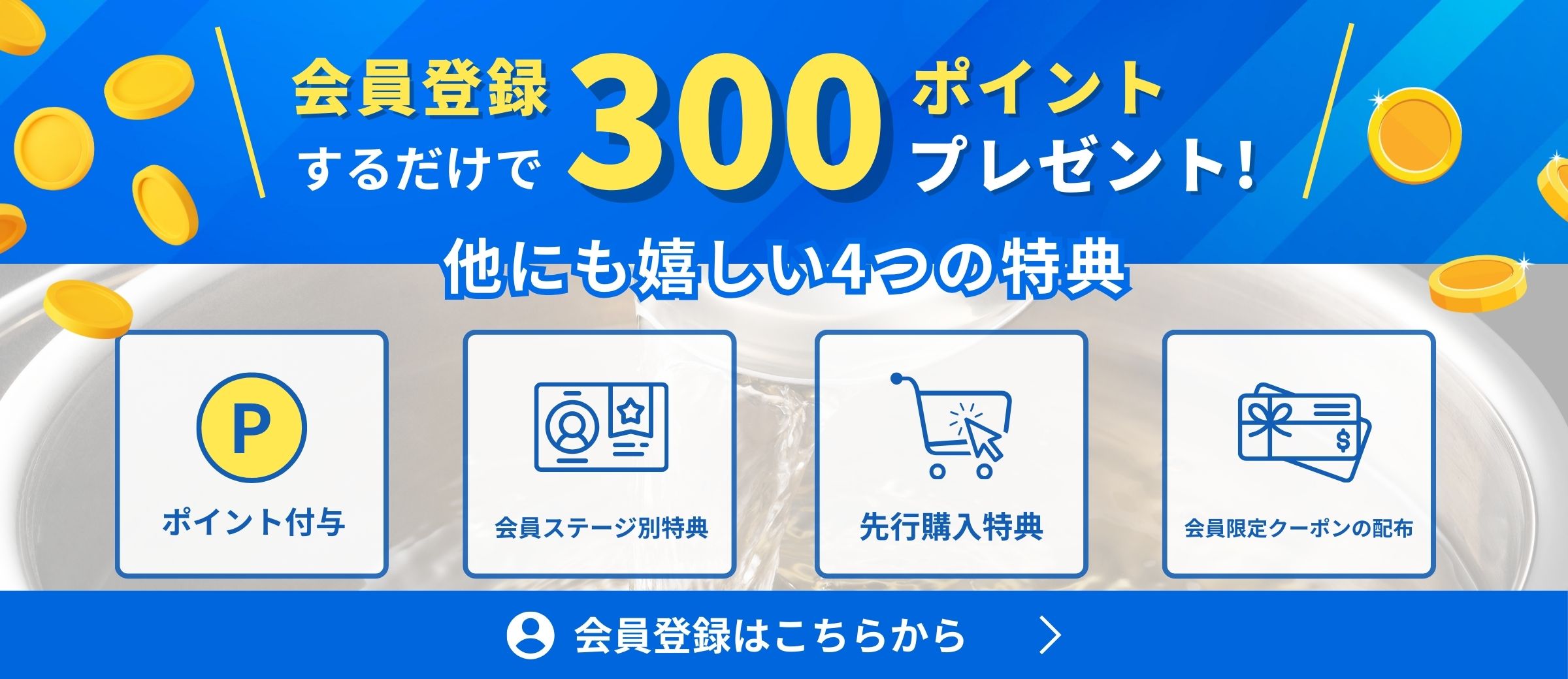 会員登録で300ポイントプレゼント