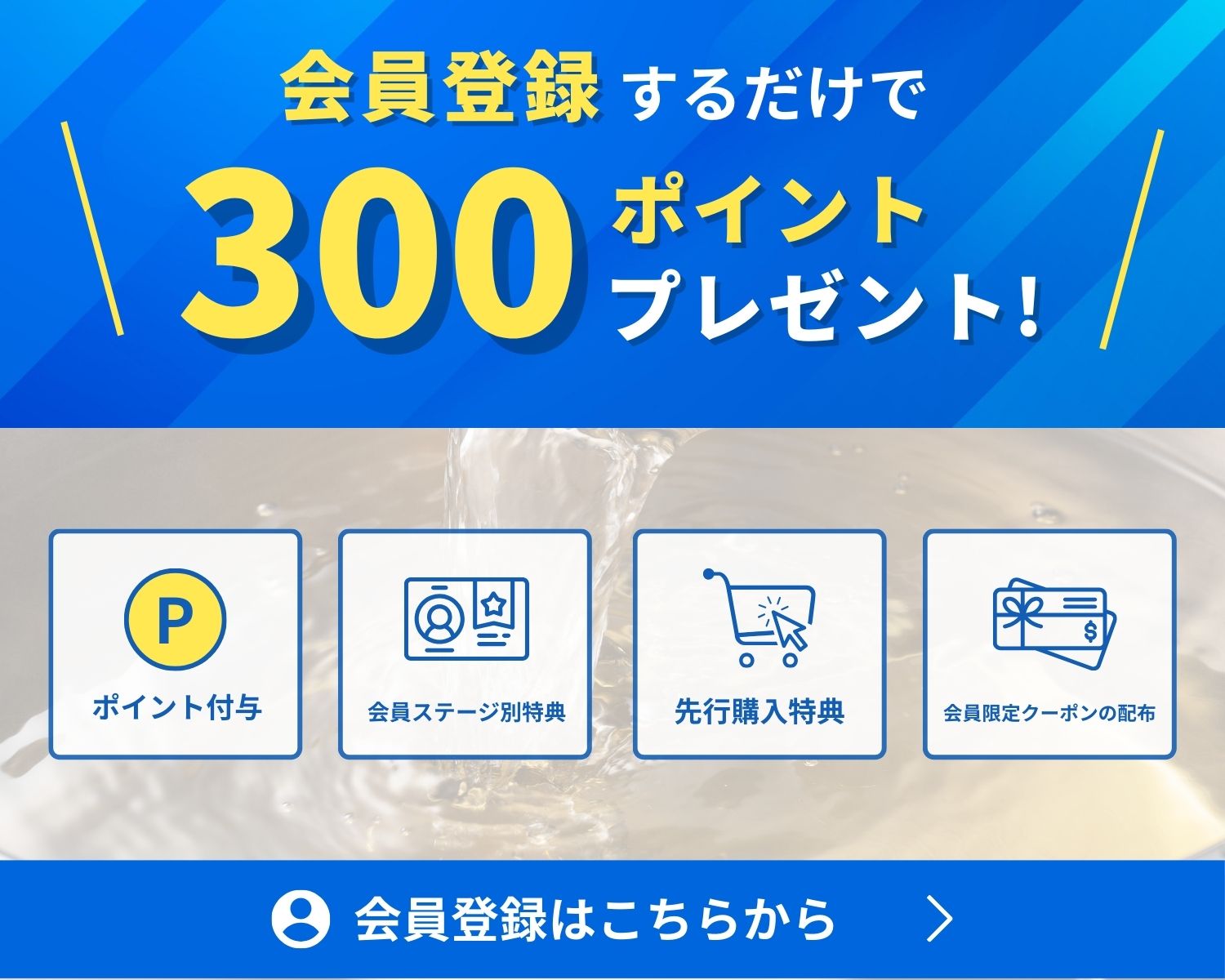 会員登録で300ポイントプレゼント