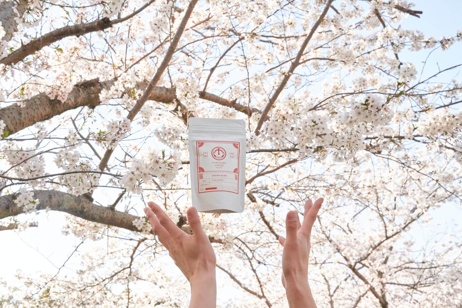 SAKURAI BLEND－華やかで親しみやすいブレンドコーヒー豆－FUKUSUKE COFFEE