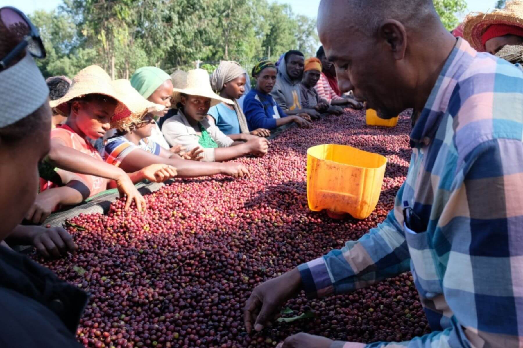 コーヒー農家の皆さん