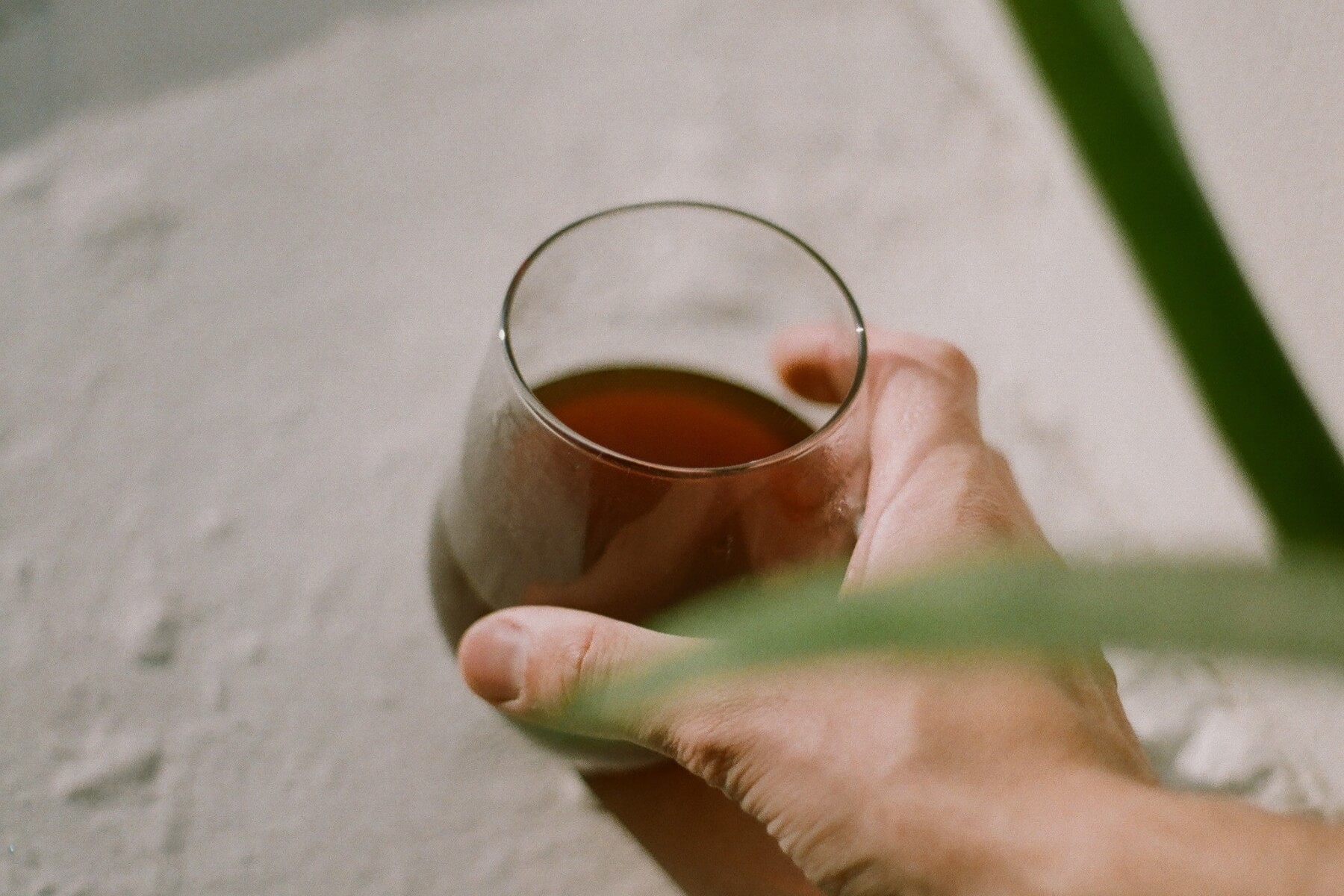 ホットコーヒー