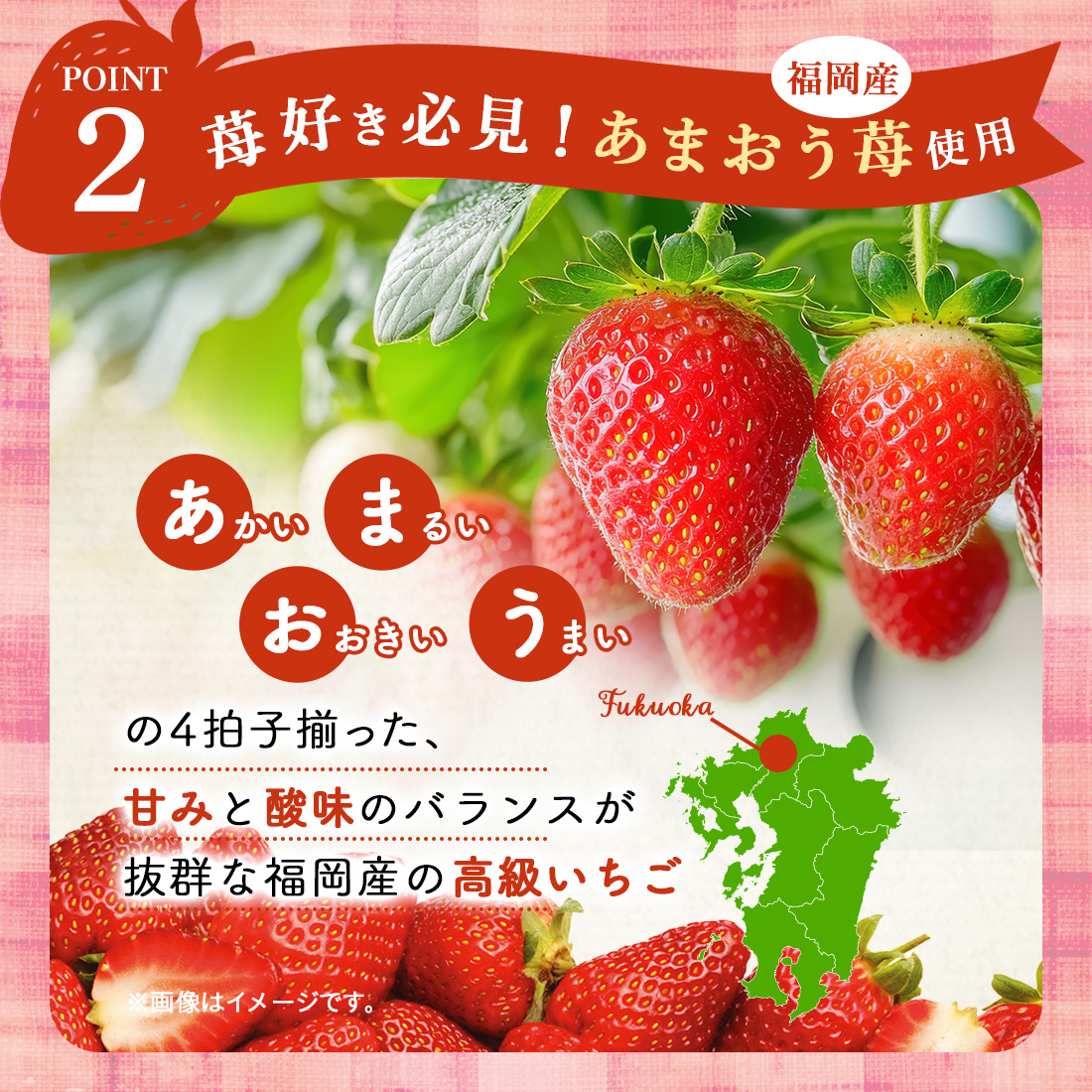 彩苺 彩果の宝石 いちご缶＊を贈るなら、多彩で高品質なantina gift