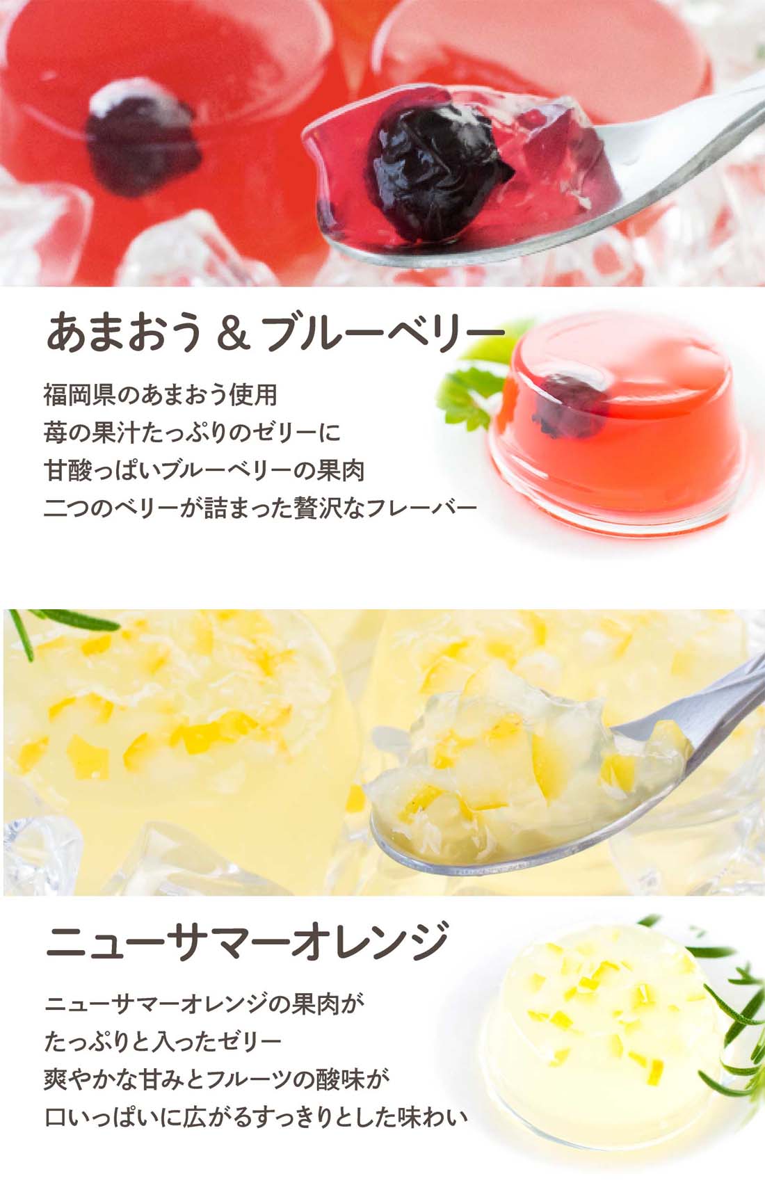 風美庵フルーツゼリー20個入 | お試しセット メール便発送 mailbin