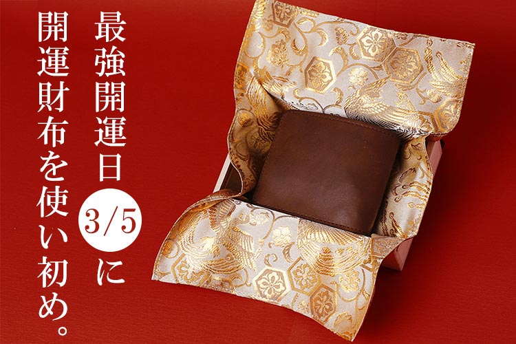 �������γ�������