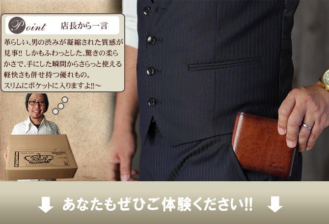 ラガード G3 牛革シャドー仕上げ メンズ 二つ折り財布 小銭入れ付き 55 青木鞄 Lugard G3 ガイア96