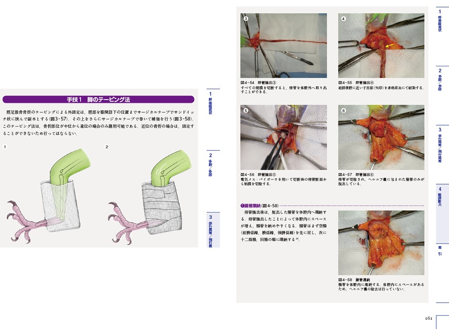 エキゾチック 臨床シリーズ│獣医学書籍・雑誌・本の出版社 学窓社