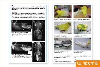 エキゾチックペットマニュアル(第四版) 学窓社 獣医 書籍 専門書健康