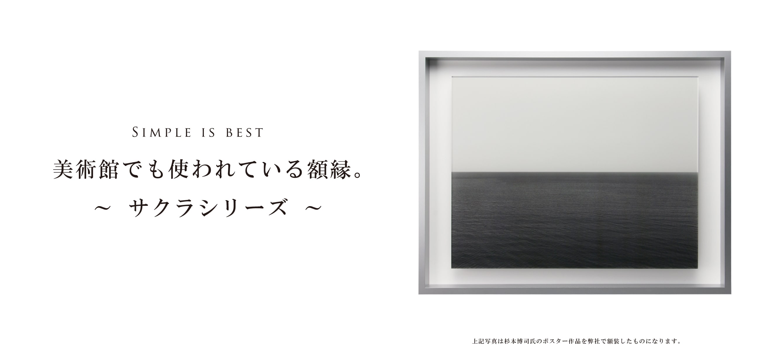 サクラシリーズ