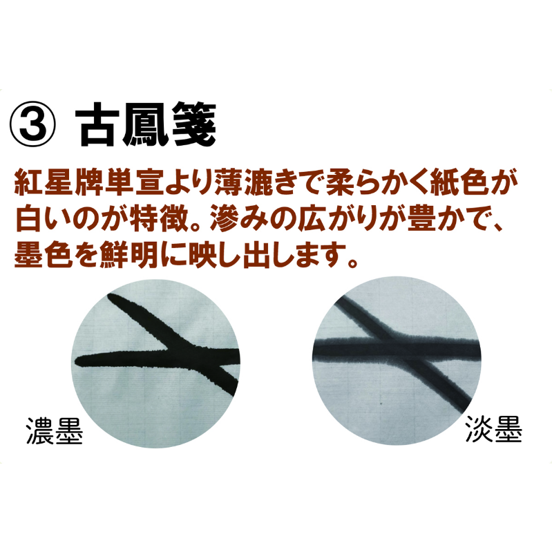 古鳳箋 全紙 100枚 | 紙,全紙 | 鵞毛堂（がもうどう）