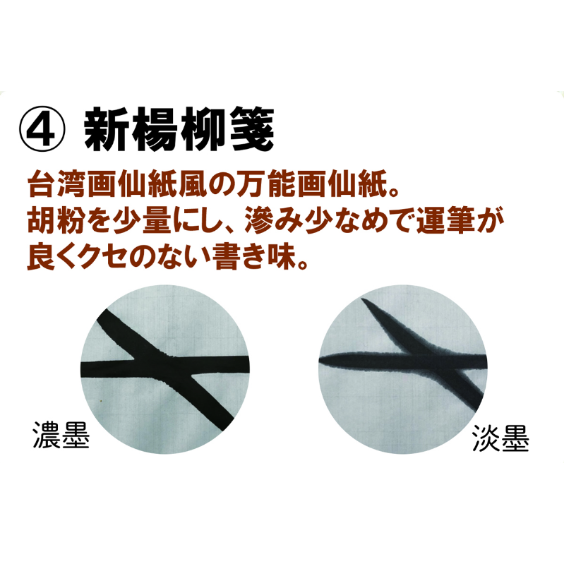 新楊柳箋 53×175 50枚 | 紙,2×6 | 鵞毛堂（がもうどう）