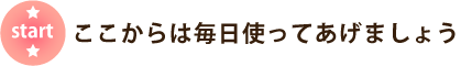 ここからは毎日使ってあげましょう