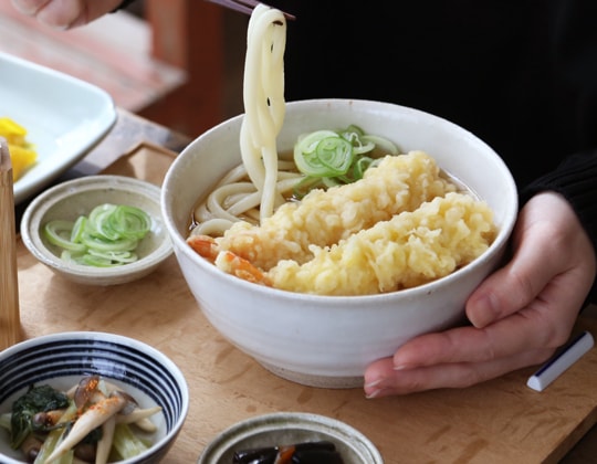 東屋 平丼 志野