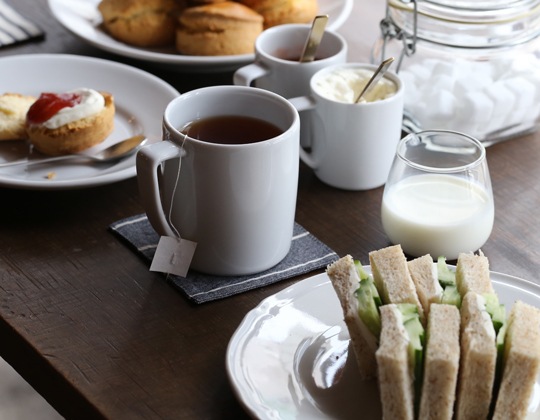 ポルバサル マグカップ